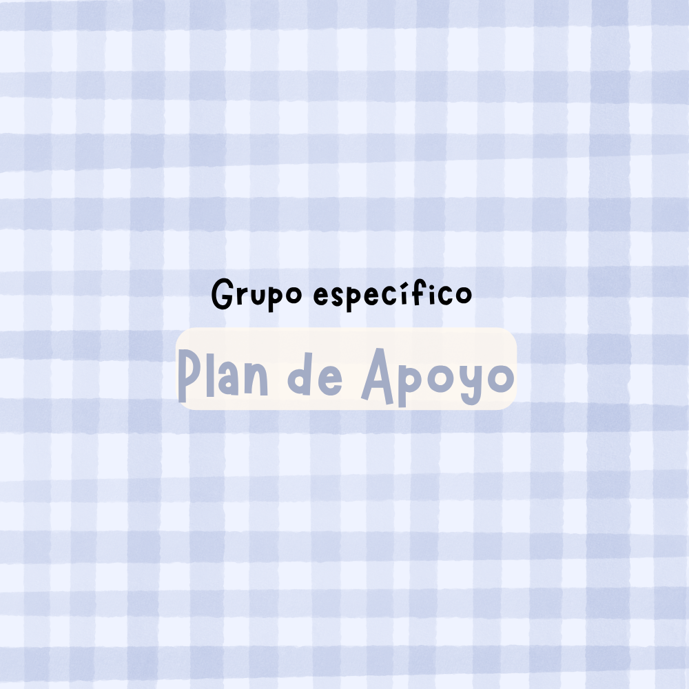 Servicios plan apoyo 2